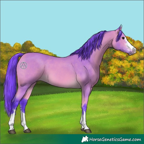 Horse Color:Watercolor Buckskin