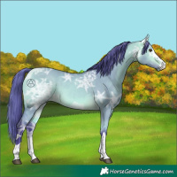 Horse Color:Watercolor Buckskin Ice Dun