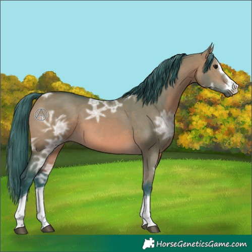 Horse Color:Watercolor Brown Ice Dun 
