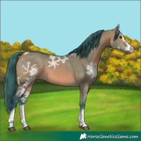 Horse Color:Watercolor Brown Ice Dun 