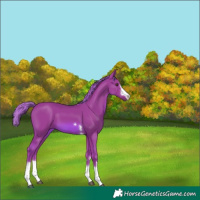 Horse Color:Watercolor Chestnut 