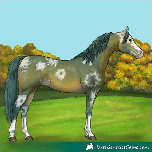 Horse Color:Watercolor Bay Ice