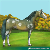 Horse Color:Watercolor Bay Ice 