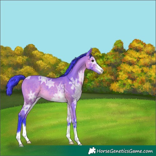 Horse Color:Watercolor Bay Ice
