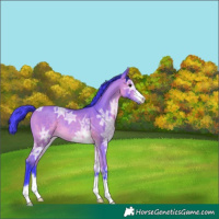 Horse Color:Watercolor Bay Ice 