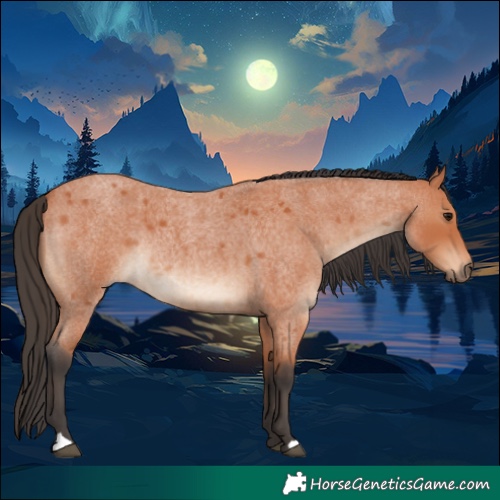 Horse Color:Bay Roan Rabicano 