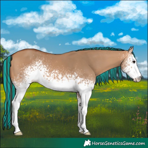 Horse Color:Painted White Spotted Bay Dun 
