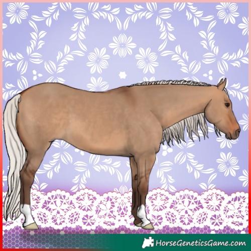 Horse Color:Silver Brown Dun 