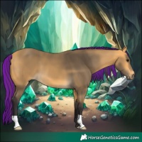Horse Color:Painted Buckskin 