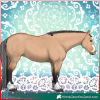 Horse Color:Painted Bay Dun