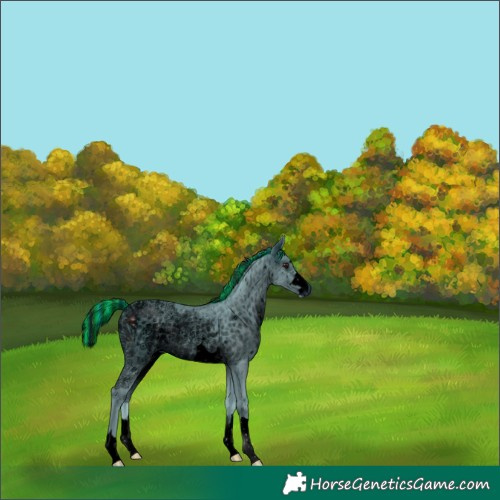Horse Color:ERROR: UNKNOWN ANOMALY