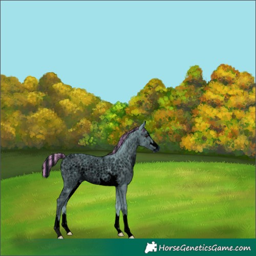 Horse Color:ERROR: UNKNOWN ANOMALY