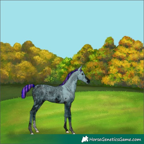 Horse Color:ERROR: UNKNOWN ANOMALY