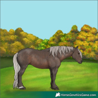 Horse Color:Silver Black Rabicano 