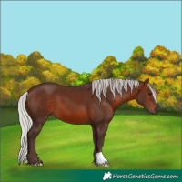Horse Color:Silver Brown