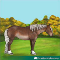 Horse Color:Silver Brown 