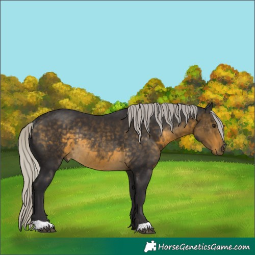 Horse Color:Silver Buckskin Rabicano