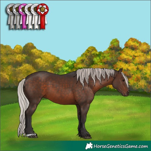 Horse Color:Silver Brown