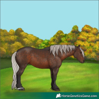 Horse Color:Silver Brown 