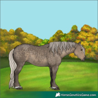 Horse Color:Silver Smoky Grullo Brindle