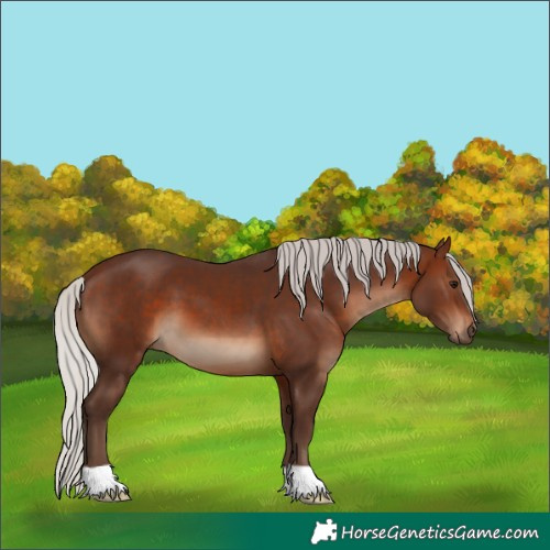 Horse Color:Silver Brown