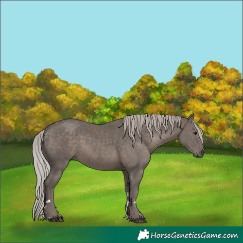 Horse Color:Silver Black 