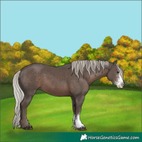 Horse Color:Silver Black Sabino 