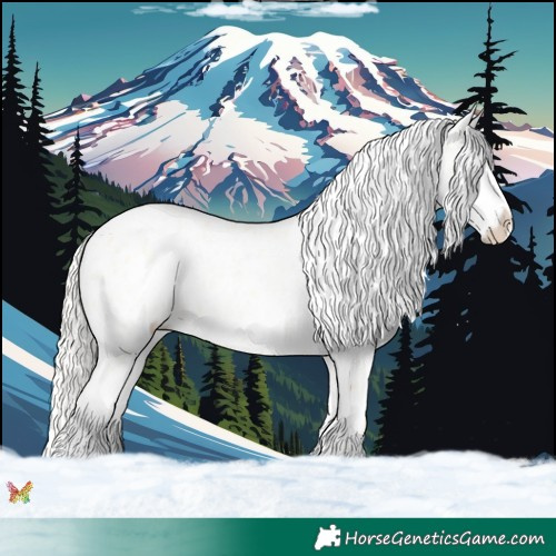 Horse Color:Palomino Roan Pearl Appaloosa and Palomino Roan Pearl Appaloosa