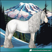 Horse Color:Palomino Roan Pearl Near Leopard  and Palomino Roan Pearl Near Leopard 