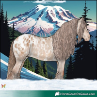 Horse Color:Red Dun Appaloosa  and Red Dun Appaloosa 