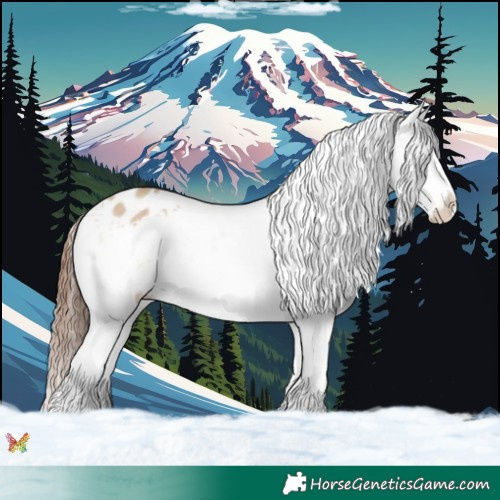 Horse Color:Red Dun Appaloosa and Red Dun Splash Appaloosa