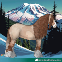 Horse Color:Red Dun Varnish  and Red Dun Splash Varnish 