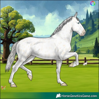 Horse Color:Palomino Pearl Appaloosa 