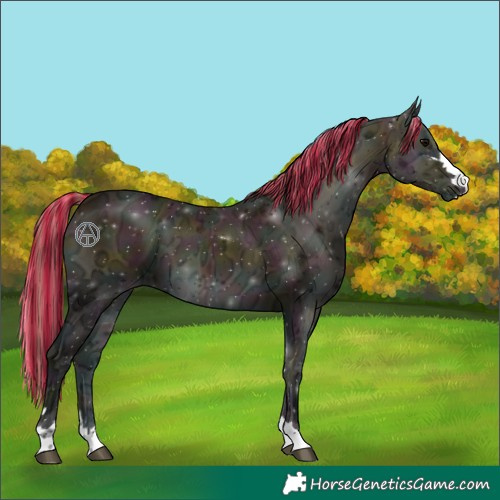 Horse Color:Painted Midnight Buckskin Ice Onyx 