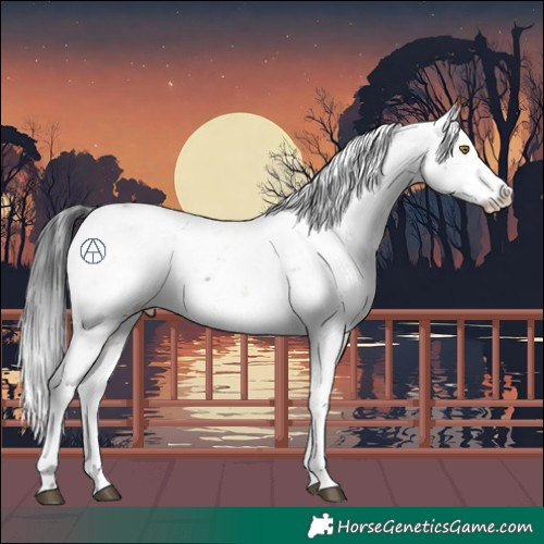 Horse Color:Brown Sabino 
