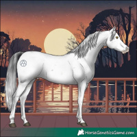 Horse Color:Brown Sabino