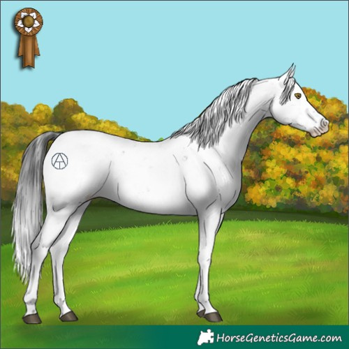 Horse Color:Brown Sabino