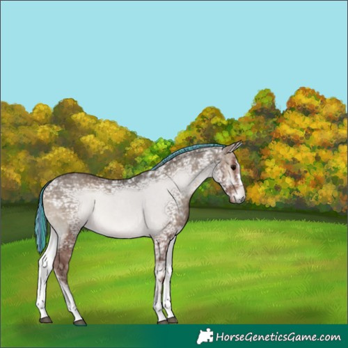 Horse Color:Painted Silver Blue Onyx Ice 