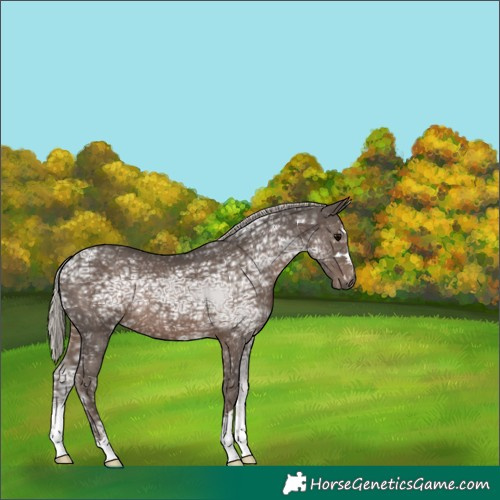 Horse Color:Silver Black Ice 