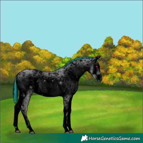 Horse Color:ERROR: UNKNOWN ANOMALY