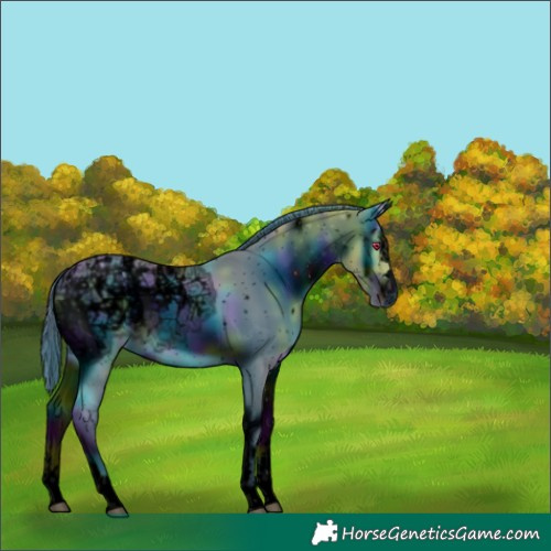 Horse Color:ERROR: UNKNOWN ANOMALY