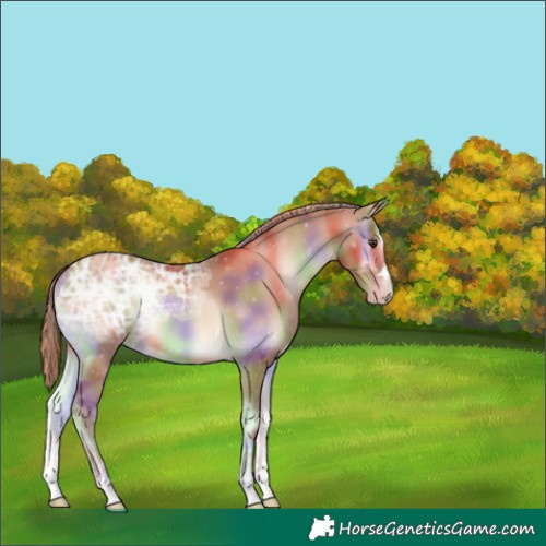 Horse Color:Nacre Gold Champagne Ice Onyx 
