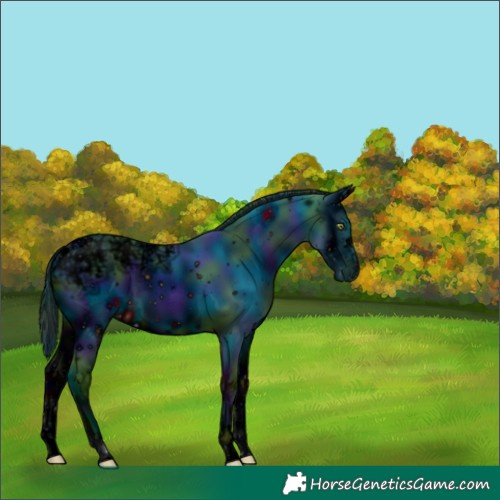 Horse Color:ERROR: UNKNOWN ANOMALY