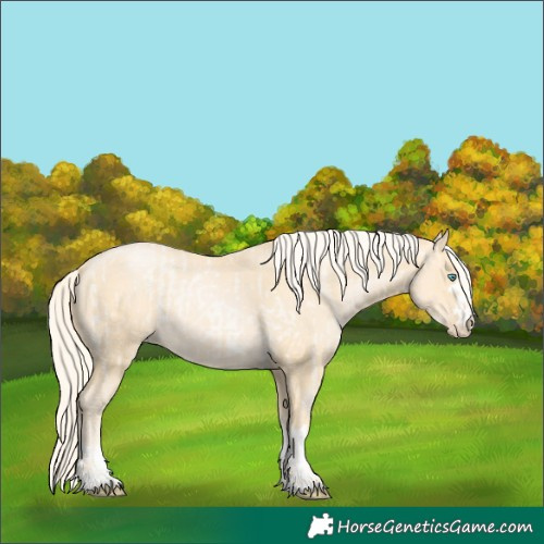 Horse Color:Palomino Roan Pearl  and Palomino Pearl 