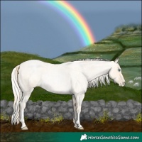 Horse Color:Buckskin Roan Pearl  and Silver Buckskin Roan Pearl 