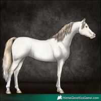 Horse Color:Buckskin Roan Pearl  and Buckskin Roan Pearl Splash 