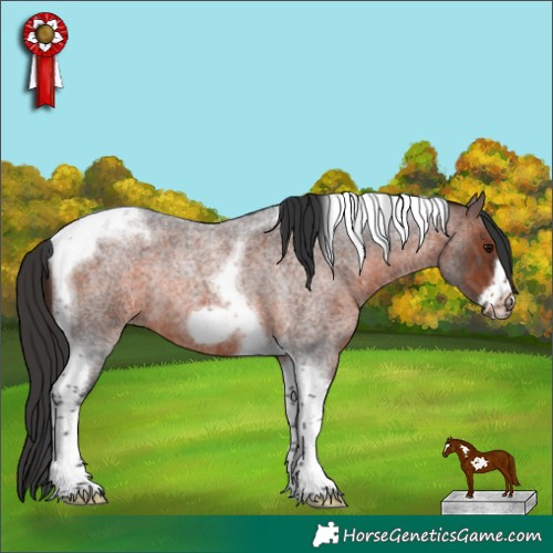Horse Color:Brown Roan Tobiano Frame Rabicano 
