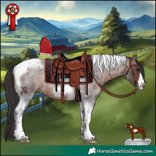 Horse Color:Brown Roan Tobiano Frame Rabicano 