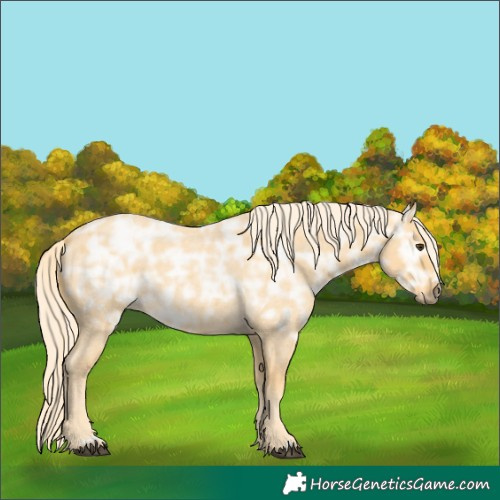 Horse Color:Palomino Ice Roan Rabicano 