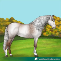 Horse Color:Gray Silver Black Pearl Tobiano 